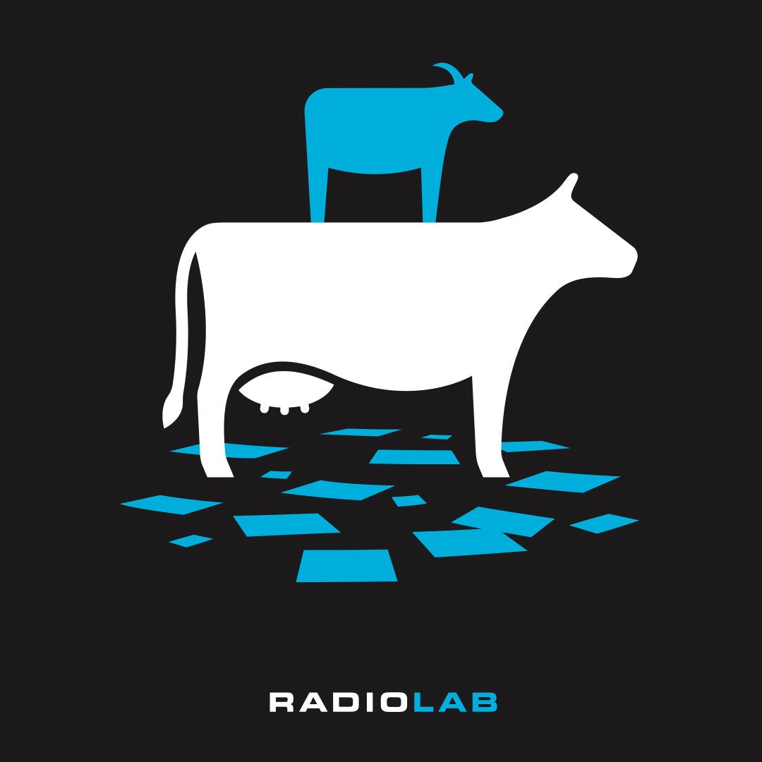 Pre-Order Reprints for Radiolab’s Goat Cow
