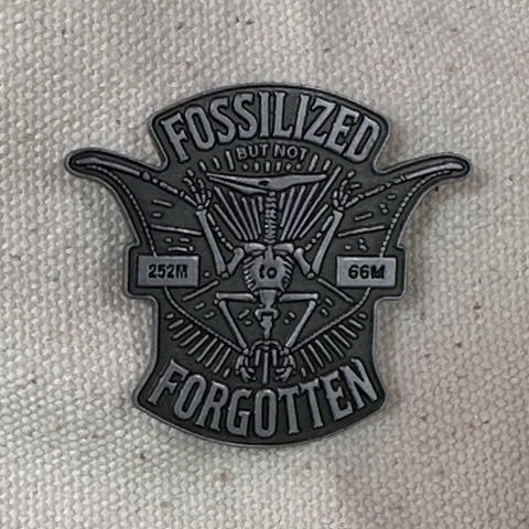 Fossilized Pin from Dinosaur Extinction