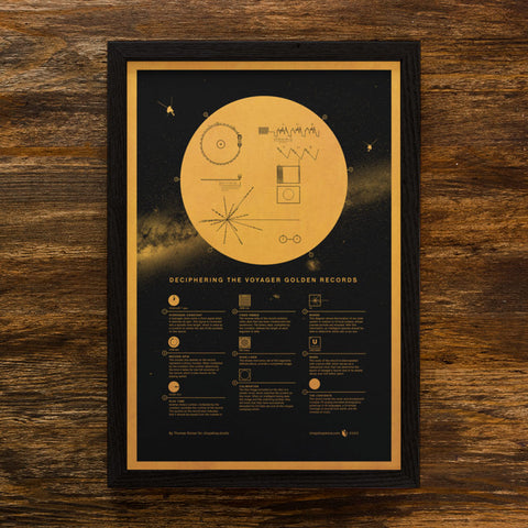 Golden Record Explained Print