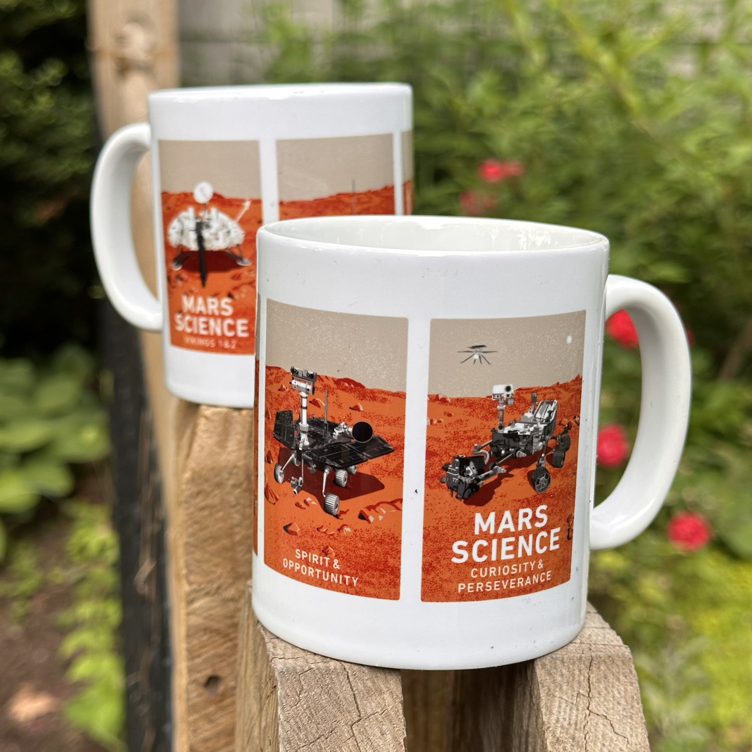 Mars Science Mug